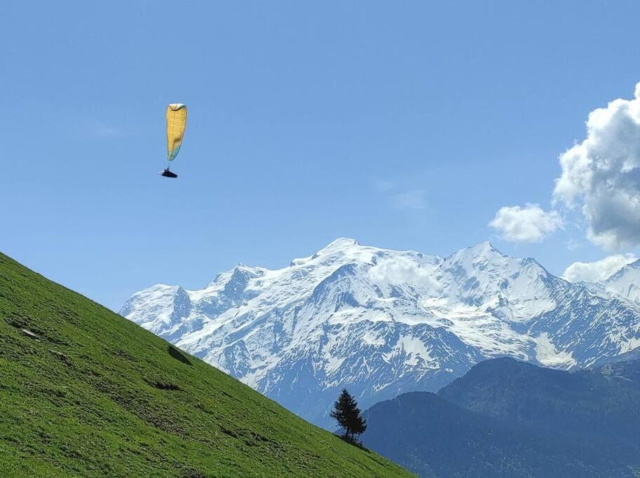 L'Echappee Belle En Montagne - Site Location-Chalet Mieussy ภายนอก รูปภาพ