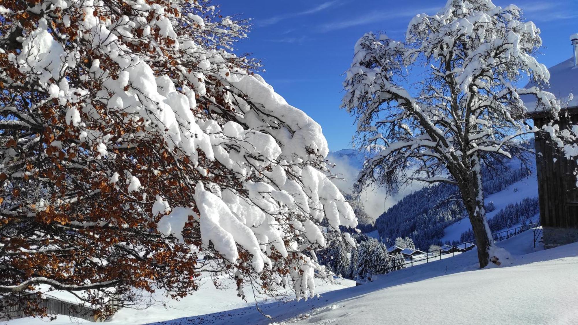 L'Echappee Belle En Montagne - Site Location-Chalet Mieussy ภายนอก รูปภาพ