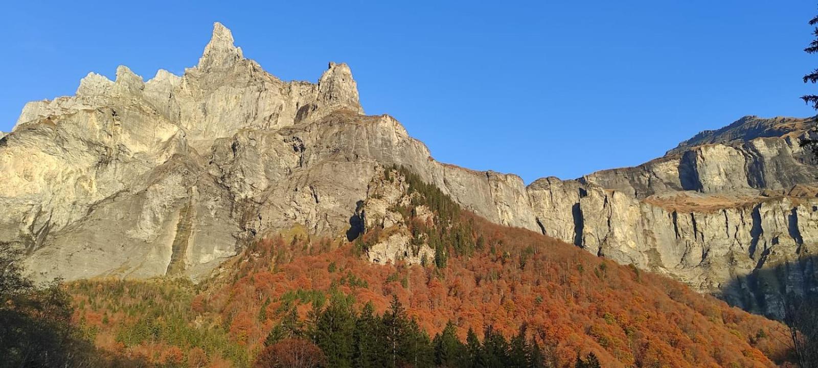 L'Echappee Belle En Montagne - Site Location-Chalet Mieussy ภายนอก รูปภาพ
